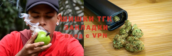 винт Алзамай